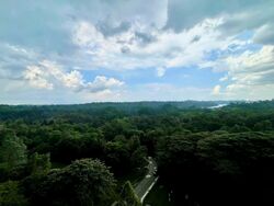 Tree House (D23), Condominium #550705781